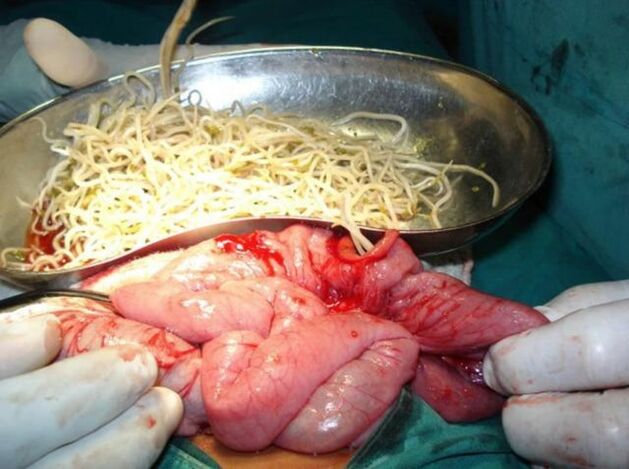 Hesteetako parasitoak